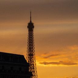 Photo polaroid d'un voyage à Paris